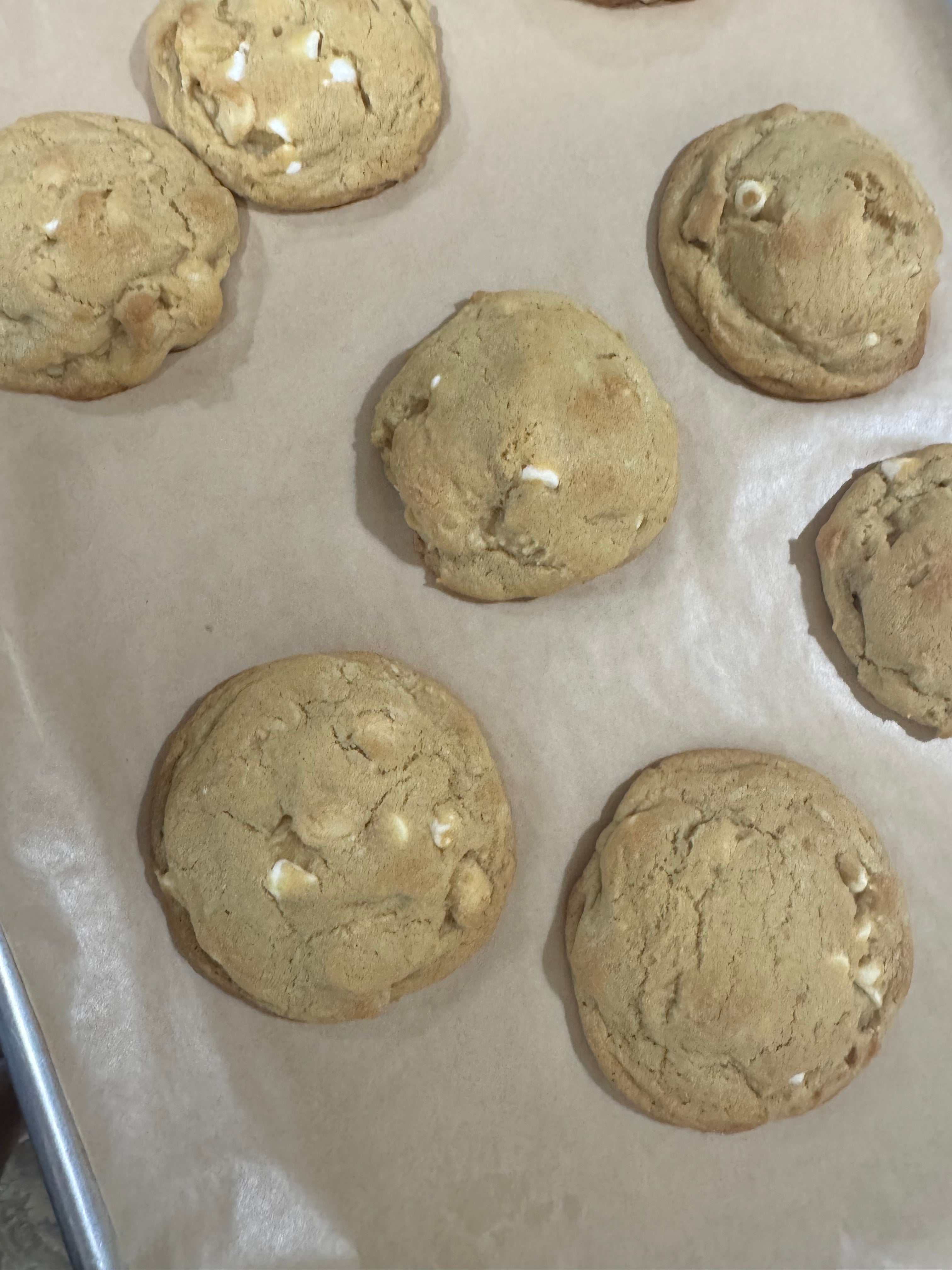Macadamia Nut cookie